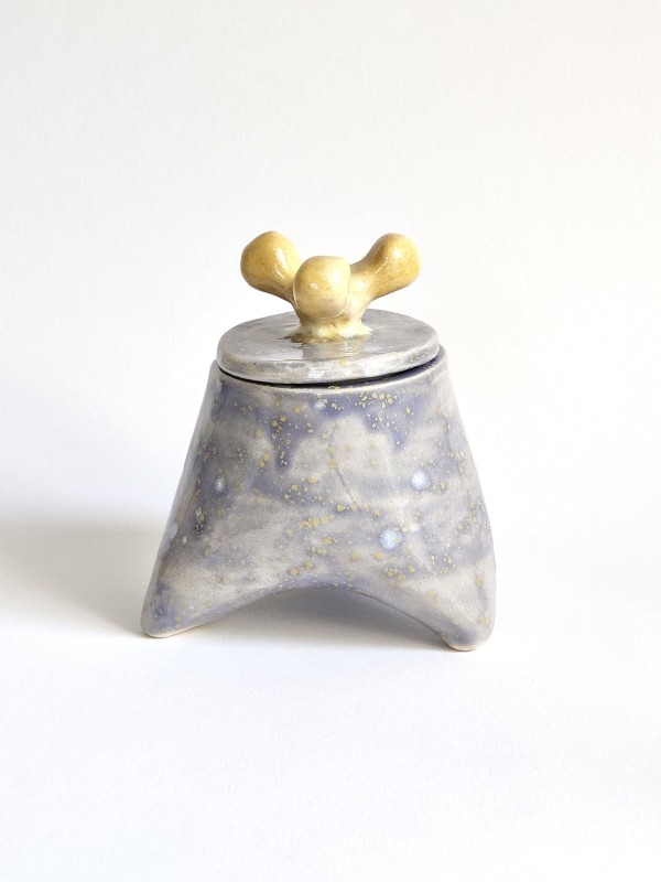 Boite Bicolor Jaune et Bleu Lilas