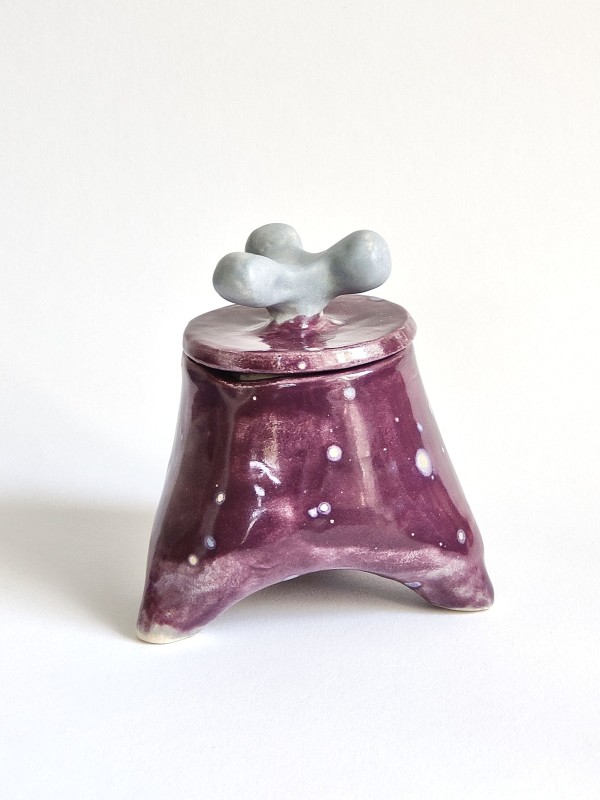 Boite Bicolor Bleu et Violette